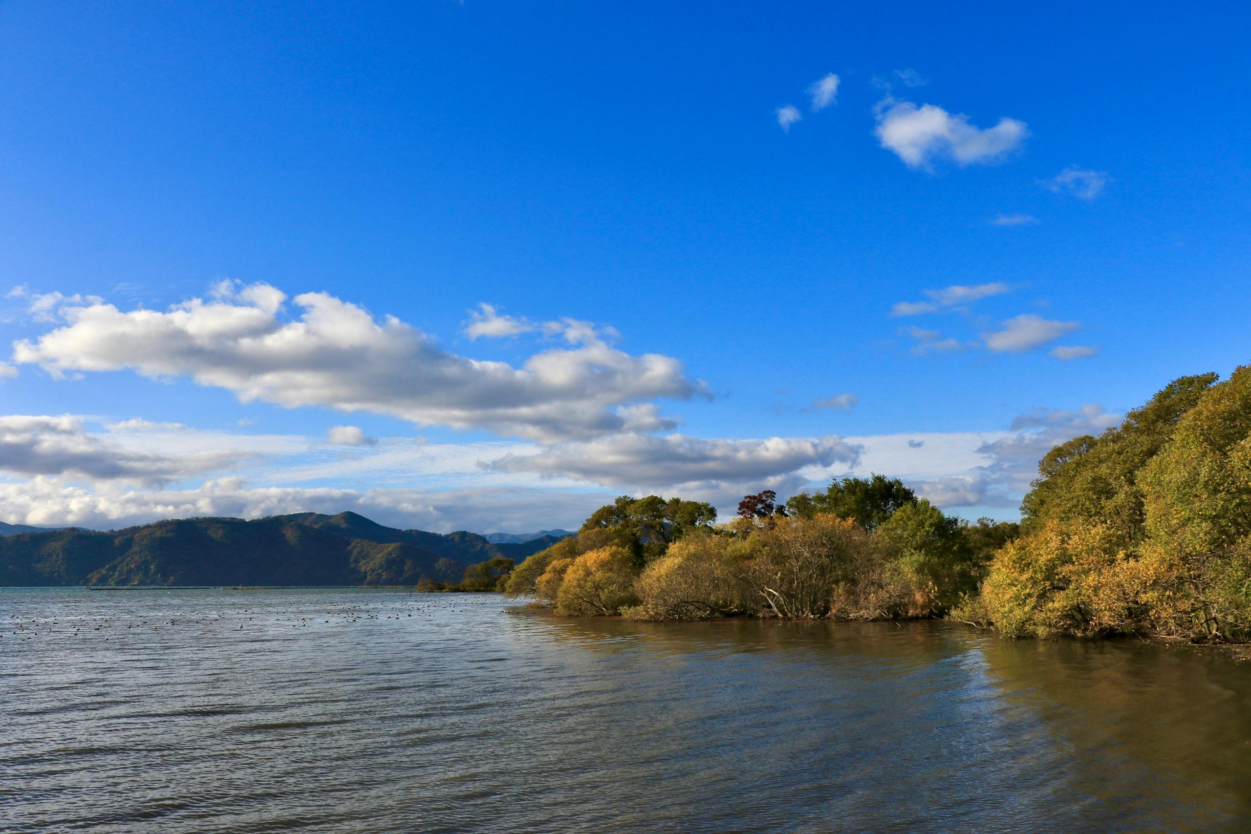 プライバシーポリシー